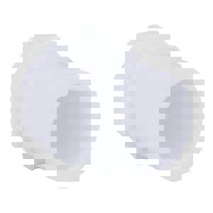 1/2 PVC S40 SPGT PLUG